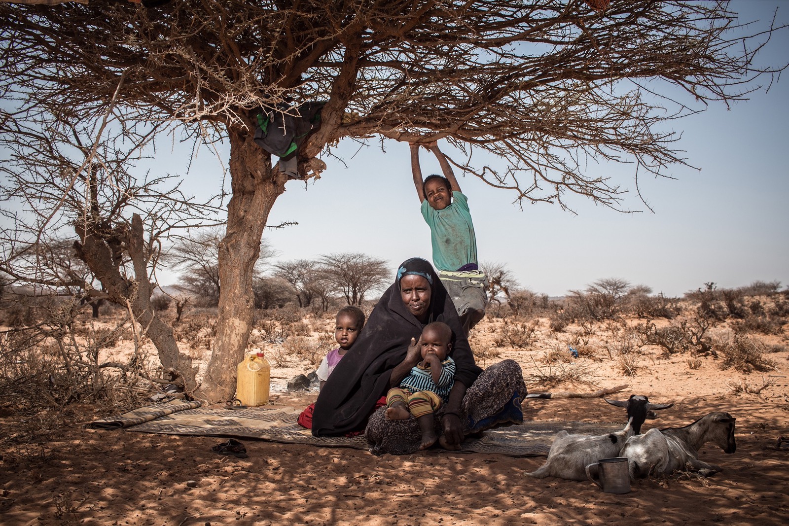 BBC, photo 04. Deeqa and her children rest in the shade of a tree near their home outside Kiridh.