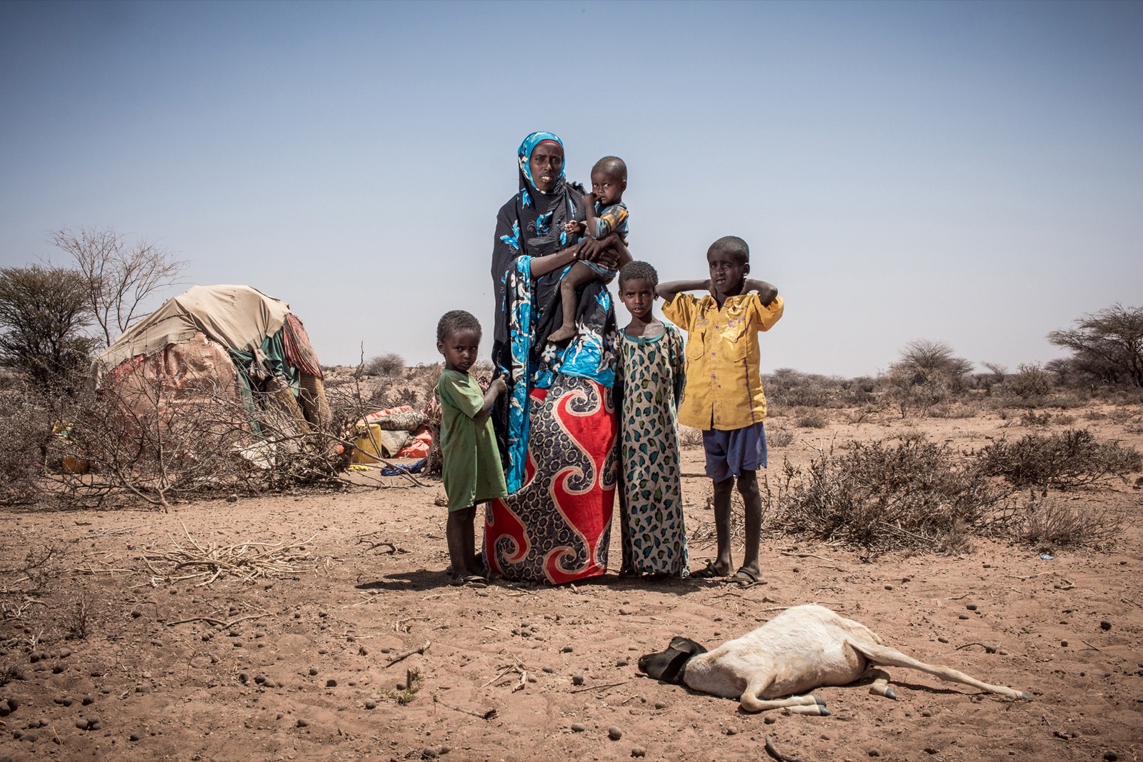 BBC, photo 07. Milgo stands with her four children in front of a sheep that died in the drought.