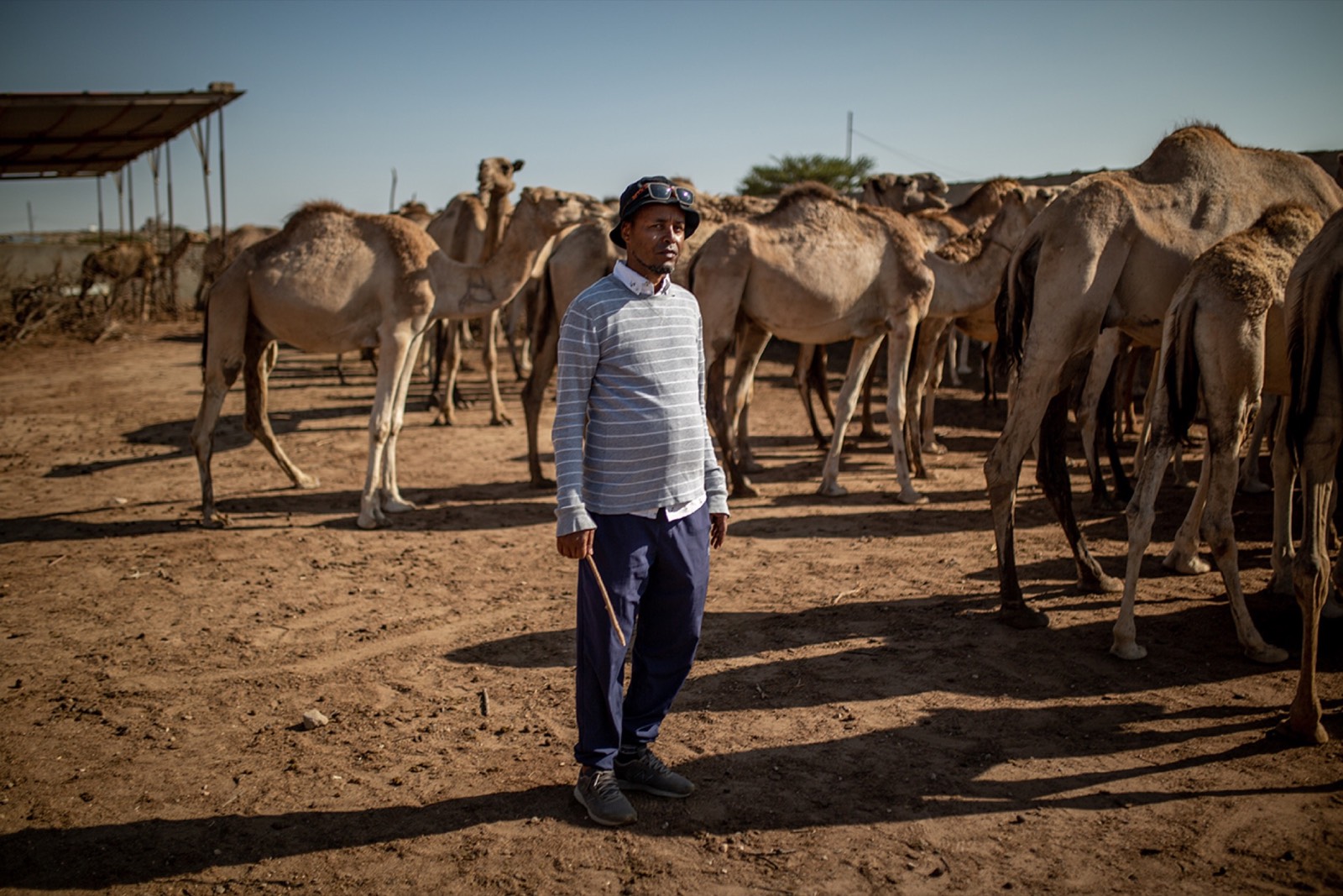 WSJ, photo 02. Portrait of Mohamed at his camel farm on the edge of Hargeisa.