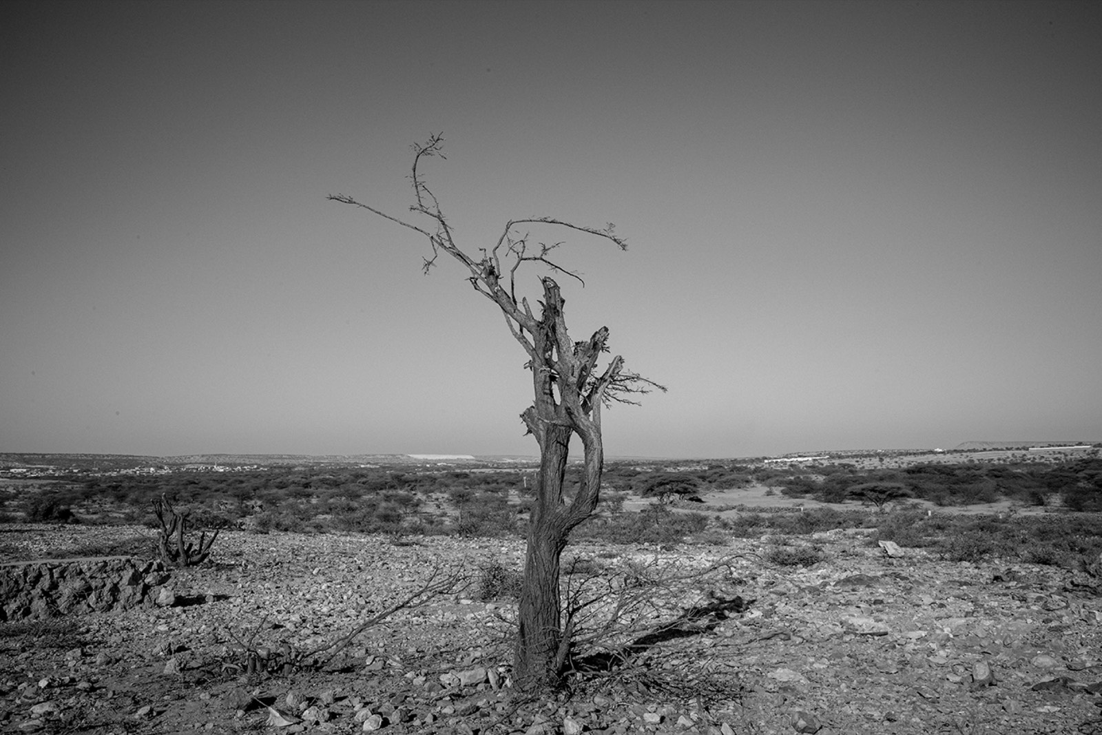 Heavy, photo 15. Hamda, 23