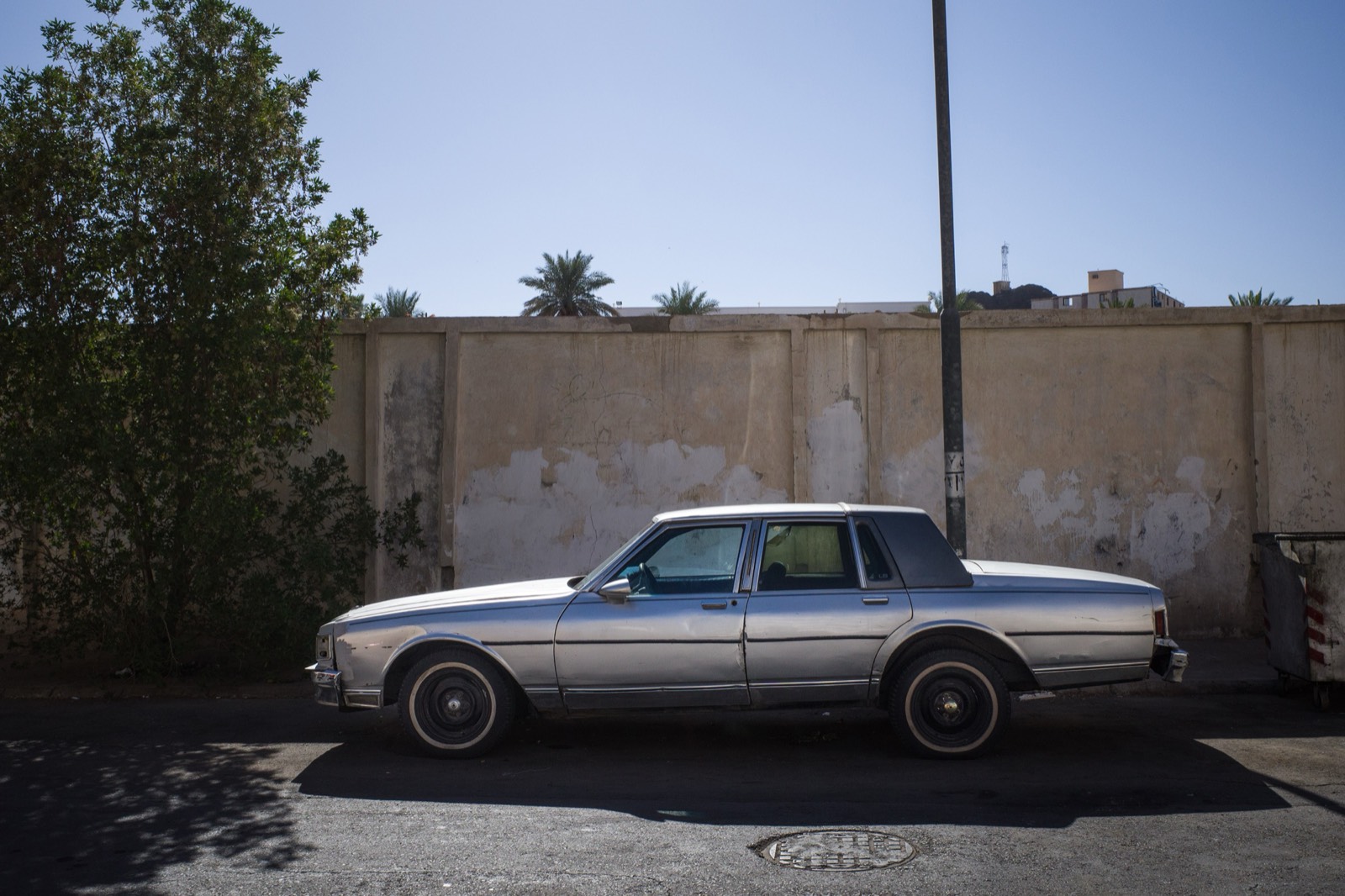 Molting — 04